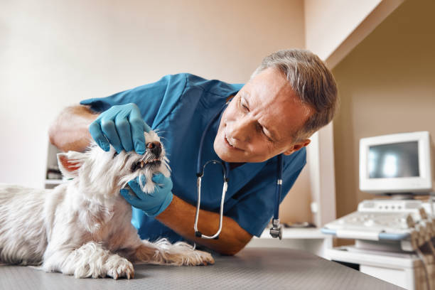 Best Weekend Emergency Dentist in Hanover, PA